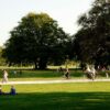 people relaxing and biking in sunny park